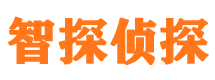 阜新市侦探调查公司